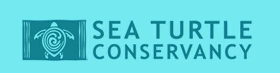 sea turtle conservancy logo